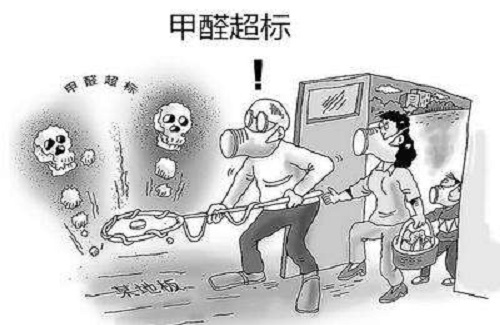 除甲醛